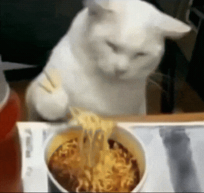 A White Cat Sitting At A Table Eating Noodles GIF