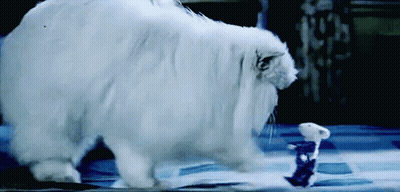 A White Cat Standing Next To A White Mouse GIF