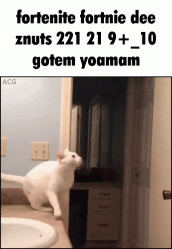 A White Cat Standing On A Counter Next To A Sink With The Caption Fortenite Fortnie Dee GIF