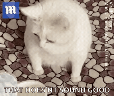 A White Cat Standing On A Tiled Floor With The Words That Does Nt Sound Good GIF
