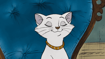 A White Cat Wearing A Gold Collar Is Sitting On A Blue Chair With Its Eyes Closed GIF