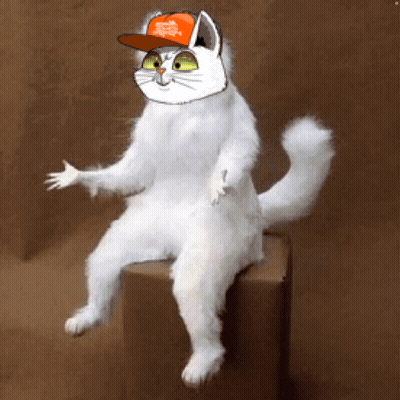 A White Cat Wearing A Hat That Says Trump On It GIF