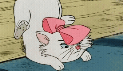 A White Cat Wearing A Pink Bow On Its Head GIF