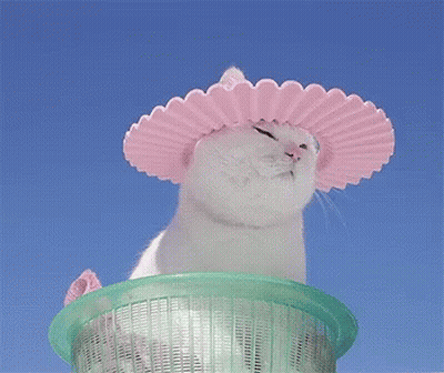 A White Cat Wearing A Pink Hat Is In A Green Basket . GIF