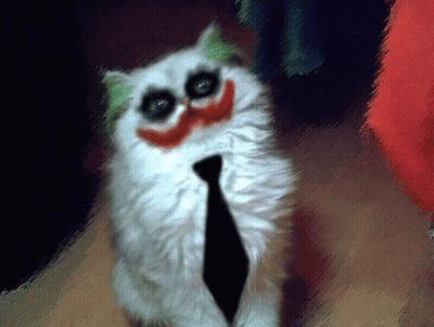 A White Cat Wearing A Tie And A Clown Face GIF
