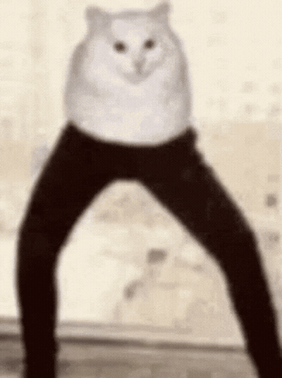 A White Cat Wearing Black Pants Is Standing On Two Legs . GIF