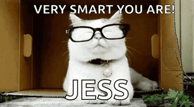 A White Cat Wearing Glasses Is Sitting In A Cardboard Box With The Words `` Very Smart You Are ! '' GIF