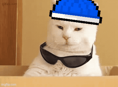 A White Cat Wearing Sunglasses And A Blue Hat Is Sitting In A Box GIF