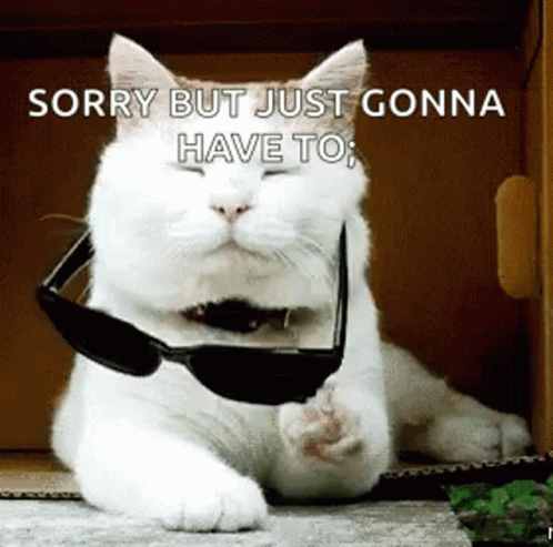 A White Cat Wearing Sunglasses Is Laying On A Cardboard Box With Its Eyes Closed . GIF