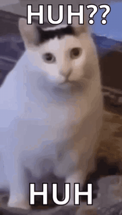 A White Cat With A Black Spot On Its Head Is Sitting On A Couch With The Words `` Huh ? '' Written On It . GIF