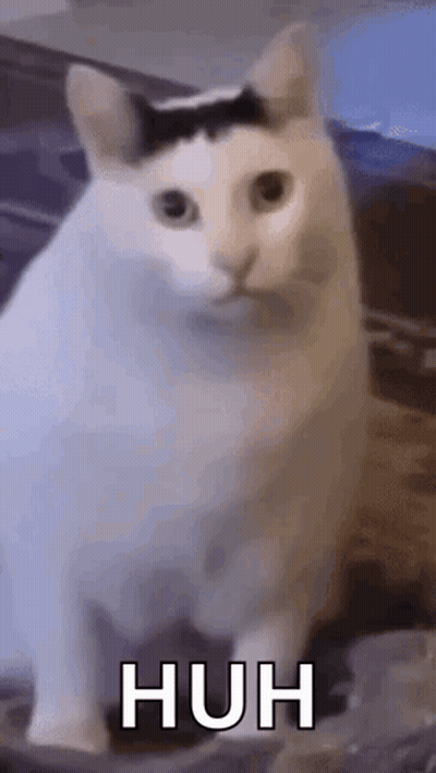 A White Cat With A Black Spot On Its Head Is Sitting On A Table With The Words Huh Written On It . GIF