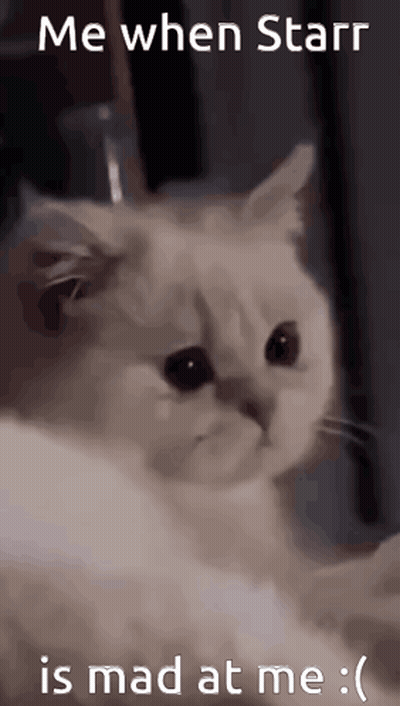 A White Cat With A Caption That Says Me When Starr Is Mad At Me . GIF