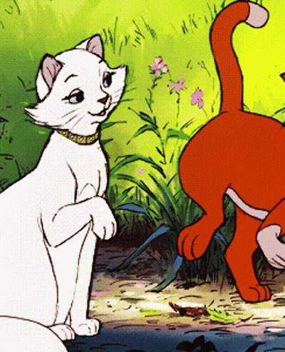 A White Cat With A Gold Collar Stands Next To A Red Cat GIF