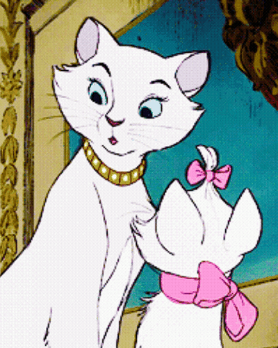 A White Cat With A Gold Necklace And A Pink Bow On Its Neck GIF