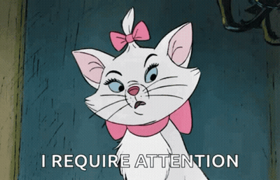 A White Cat With A Pink Bow And The Words " I Require Attention " Below It GIF