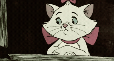 A White Cat With A Pink Bow On Its Head Is Looking Out A Window GIF