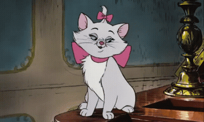 A White Cat With A Pink Bow On Its Neck Is Sitting On A Table GIF