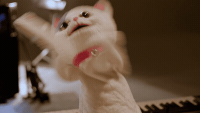 A White Cat With A Pink Collar Is Standing On A Keyboard GIF