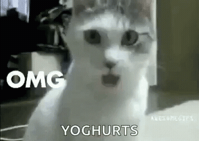 A White Cat With A Surprised Look On Its Face Is Sitting On The Floor . GIF