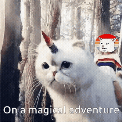 A White Cat With A Unicorn Horn On Its Head Is In The Woods . GIF