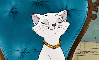A White Cat With A Yellow Collar Is Sitting In A Chair GIF