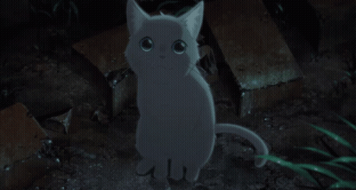 A White Cat With Blue Eyes Is Sitting On The Ground In The Dark GIF
