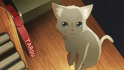 A White Cat With Blue Eyes Sits Next To A Red Collar That Says Tarou GIF