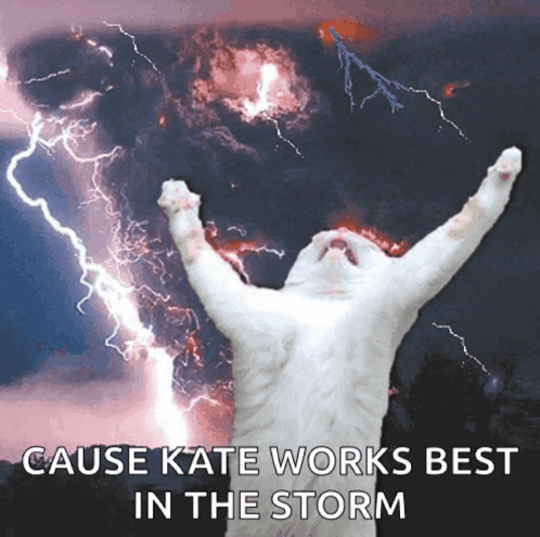 A White Cat With Its Arms In The Air In Front Of A Lightning Storm GIF