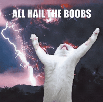 A White Cat With Its Arms In The Air With The Words All Hail The Boobs Behind It GIF
