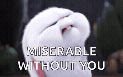 A White Cat With Its Eyes Closed And The Words Miserable Without You Behind It GIF
