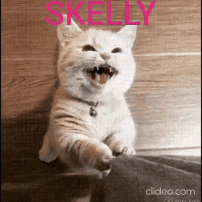 A White Cat With Its Mouth Open And The Word Kelly Written Above It GIF