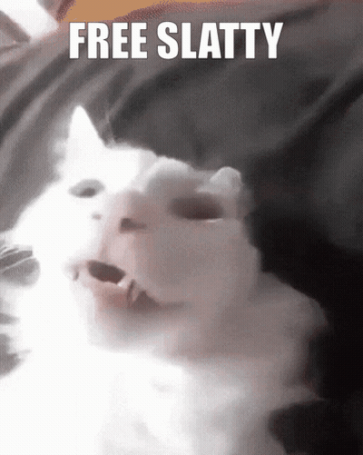 A White Cat With Its Mouth Open And The Words Free Slatty Written Above It GIF