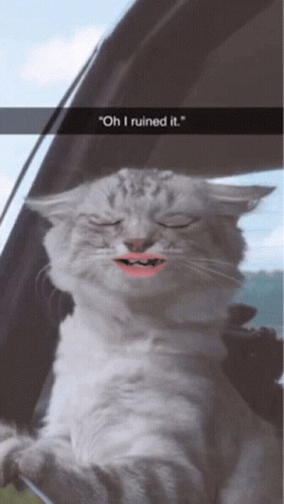 A White Cat With Pink Lips Is Sitting In A Car With Its Eyes Closed And A Caption That Says " Oh I Ruined It " GIF