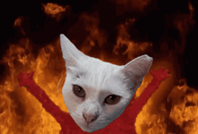 A White Cat With Red Arms Is In Front Of A Fire GIF