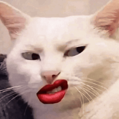 A White Cat With Red Lipstick On Its Mouth . GIF