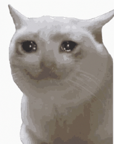 A White Cat With Tears In Its Eyes Is Smiling . GIF
