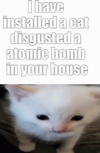 A White Cat With The Words I Have Installed A Cat Disgusted A Atomic Bomb In Your House On Top Of It GIF