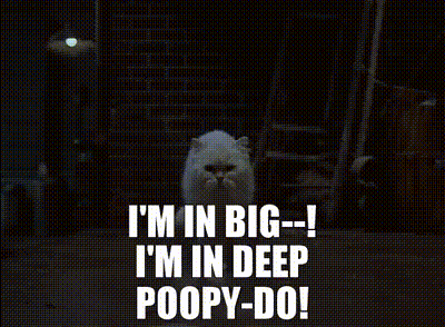 A White Cat With The Words I 'M In Big-- I 'M In Deep Poopy-Do GIF