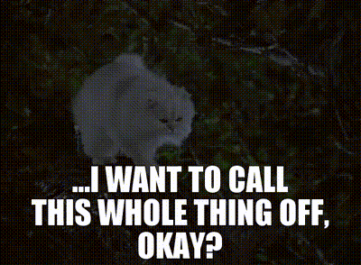 A White Cat With The Words " I Want To Call This Whole Thing Off Okay " Written Below It GIF