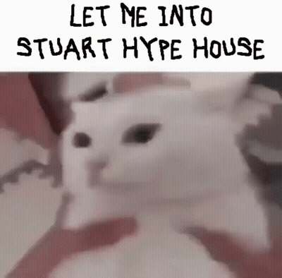 A White Cat With The Words `` Let Me Into Stuart Hype House '' Written Above It GIF