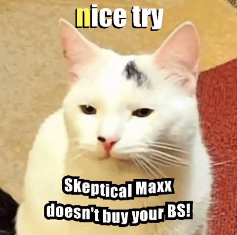 A White Cat With The Words Nice Try Skeptical Maxx Does N't Buy Your Bs On Its Face GIF