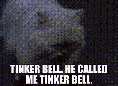 A White Cat With The Words Tinker Bell He Called Me Tinker Bell Written Below It GIF