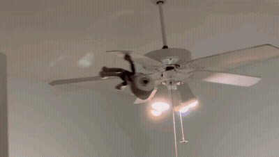 A White Ceiling Fan With A Light On It GIF