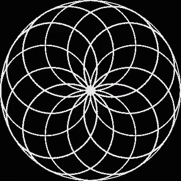 A White Circular Pattern On A Black Background That Looks Like A Flower . GIF