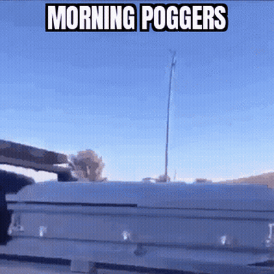 A White Coffin With The Words Morning Poggers On It GIF