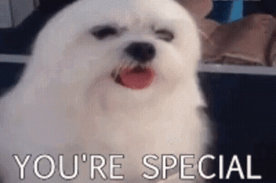 A White Dog Is Saying `` You 'Re Special '' With Its Tongue Hanging Out . GIF