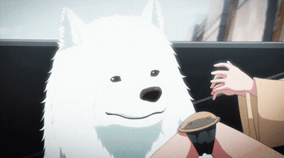A White Dog Is Sitting Next To A Cup Of Coffee GIF