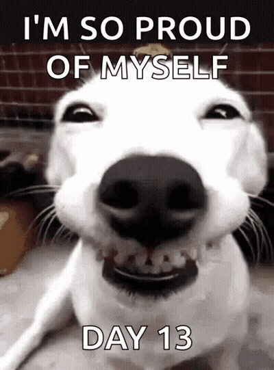 A White Dog Is Smiling With The Words `` I 'M So Proud Of Myself Day 13 '' Written Below It . GIF
