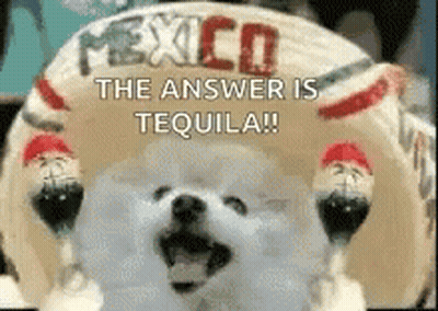 A White Dog Is Standing In Front Of A Mexican Hat That Says The Answer Is Tequila . GIF