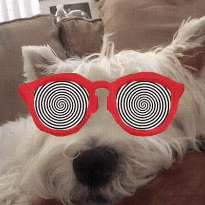 A White Dog Wearing Red Hypnotic Glasses Lays On A Couch GIF